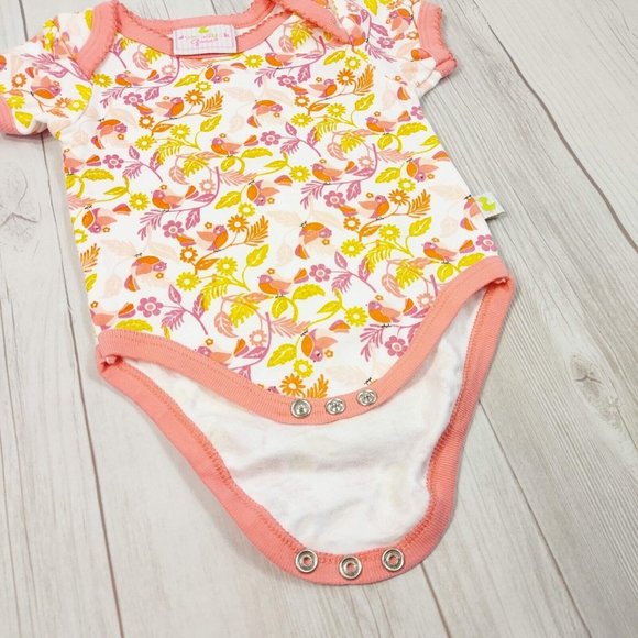 Baby Girl 2 Outfit Summer Bodysuit Set Little Sister Birds Flowers Pink Gold 0-3 - Picture 9 of 10
